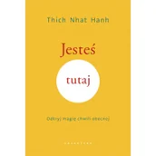 Pozostałe książki - JESTEŚ TUTAJ. ODKRYJ MAGIĘ CHWILI OBECNEJ - miniaturka - grafika 1