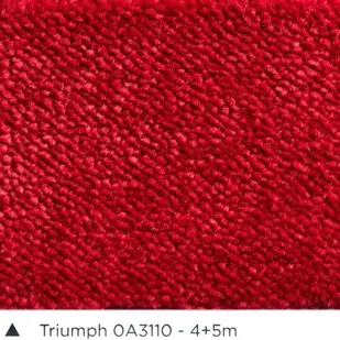 Wykładzina dywanowa AW TRIUMPH 10 (domowa) 4m i 5m - Wykładziny - miniaturka - grafika 1