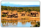 Magnesy - AFRYKA - Słonie - Safari - Magnes na lodówkę - miniaturka - grafika 1