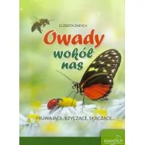 Biały Kot Owady wokół nas - Elżbieta Zarych