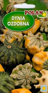 Dynia ozdobna Crown of Thorns 5 g POLAN - Nasiona i cebule - miniaturka - grafika 1