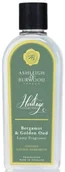 Zapachy do domu - Ashleigh Ashleigh &amp; Burwood Wkład do lampy katalitycznej Bergamot &amp; Golden Oud 250 ml Aro000960 - miniaturka - grafika 1