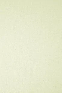 Papier Elfenbens 185g Tkanina Lniana ecru - 20A4 - Dekoratorstwo - miniaturka - grafika 1
