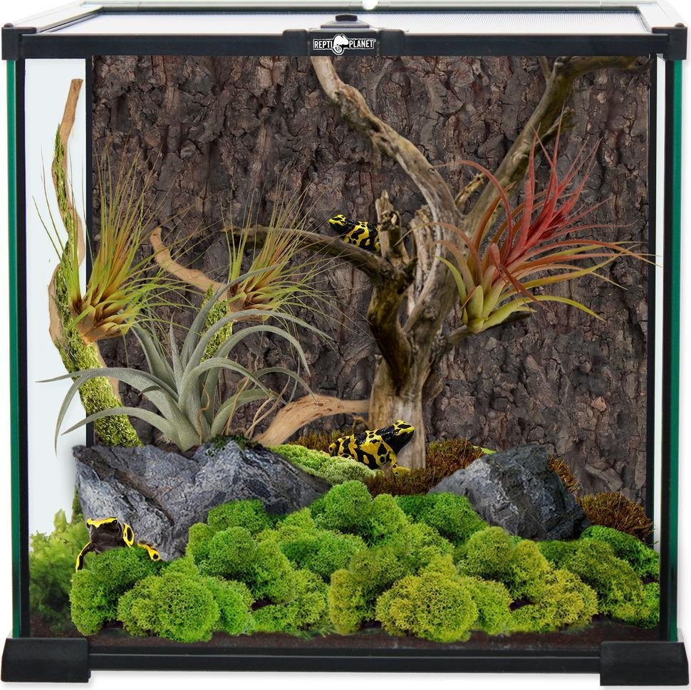 REPTI PLANET REPTI PLANET terrarium szklane 30x30x45cm