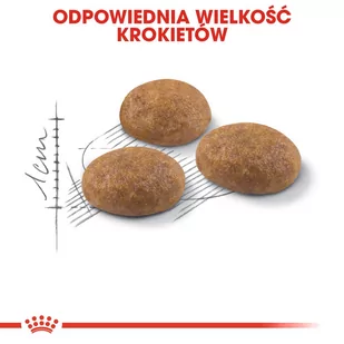 ROYAL CANIN  Outdoor 30 2kg + niespodzianka dla kota GRATIS! - Sucha karma dla kotów - miniaturka - grafika 2