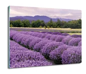 Deski do krojenia - druk osłona splashback ze szkła Lawenda pole 60x52, ArtprintCave - miniaturka - grafika 1
