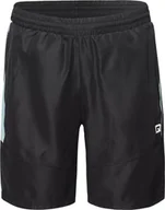 Spodnie sportowe męskie - Męskie Spodenki DAREN - miniaturka - grafika 1