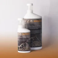 Akcesoria jeździeckie - Equina Haemoxil - wzmacnia organizm - 1000ml - miniaturka - grafika 1