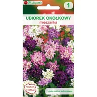 Nasiona i cebule - Ubiorek okółkowy mieszanka W.Legutko - miniaturka - grafika 1