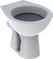 Kompakty WC - Geberit Bambini Toaleta WC stojąca 40,5x33 cm dziecięca biała 500.916.00.1 - miniaturka - grafika 1