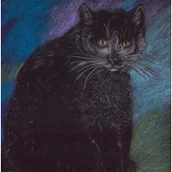 Rośliny i zwierzęta - NOTES KOT PASTELOWY - miniaturka - grafika 1