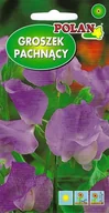 Nasiona i cebule - Groszek pachnący liliowo-modry 3 g POLAN - miniaturka - grafika 1