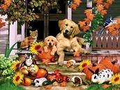 Malowanie po numerach - Mozaika Diamentowa Malowanie Diamond Painting 5D - miniaturka - grafika 1