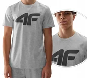 Koszulki męskie - T-shirt bawełniany męski 4F - miniaturka - grafika 1