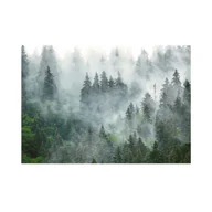 Tapety - Mural Forest las we mgle 400 x 280 cm delikatna struktura - miniaturka - grafika 1