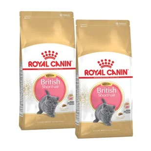 ROYAL CANIN British Shorthair Kitten 2x10 kg - Mokra karma dla kotów ROYAL CANIN British Shorthair Kitten 2x10 kg - Mokra karma dla kotów - miniaturka - grafika 1