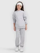 Spodnie i spodenki dla dziewczynek - 4F Spodnie dresowe joggery dziewczęce - szare 164 (13-14 lat) - miniaturka - grafika 1