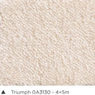 Wykładzina dywanowa AW TRIUMPH 30 (domowa) 4m i 5m - Wykładziny - miniaturka - grafika 1