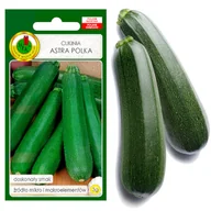 Nasiona i cebule - CUKINIA ASTRA POLKA SMACZNA NASIONA BEZ GMO - miniaturka - grafika 1