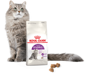 Mokra karma dla kotów - Royal Canin Sensible 10kg PROMOCYJNE OPAKOWANIE 4+1 karma sucha dla kotów dorosłych o wrażliwym przewodzie pokarmowym 228640 - miniaturka - grafika 1