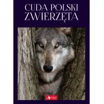 Cuda Polski. Zwierzęta - Albumy - przyroda - miniaturka - grafika 1