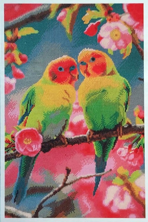 AVEC Malowanie diamentami Mozaika Haft Diamenty 40x60cm PAPUGI