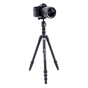 VANGUARD VESTA TB 204AB Statyw - Statywy fotograficzne - miniaturka - grafika 5