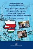 Biznes - Kraje Grupy Wyszehradzkiej i ich gospodarka a praca, aktywność zawodowa i przedsiębiorczość młodego pokolenia - Urszula Swadźba - ebook - miniaturka - grafika 1