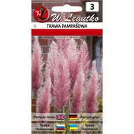 Nasiona i cebule - Trawa pampasowa różowa nasiona W. Legutko - miniaturka - grafika 1