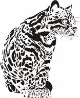 Naklejki na ścianę - Naklejka na ścianę ocelot - Dzikie koty 16, 120x90 cm - miniaturka - grafika 1