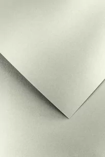 Karton ozdobny Premium 250g/m2 PEARL JASNOSREBRNY 20 arkuszy A4 - Pudła i kartony archiwizacyjne - miniaturka - grafika 1