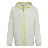 Kurtki i płaszcze dla chłopców - adidas U MTN WB Jacket Kurtka Dla dzieci i młodzieży, Zielony (VERLIN/AMAIMP), 12 lat - miniaturka - grafika 1