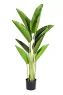 Sztuczne drzewka - GreenBrokers Sztuczne prawdziwe drzewo dotykowe w doniczce, rajski ptak 120 cm - miniaturka - grafika 1