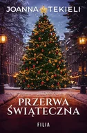 Literatura obyczajowa - Przerwa świąteczna - miniaturka - grafika 1