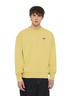 felpa uomo dickies millersburg crew dk0a4ylz h131 fall leaf - Bluzy męskie - miniaturka - grafika 1