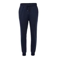 Spodnie męskie - Lee Cooper Flc granatowe spodnie dresowe 100% poliester, Rozmiar XXL - miniaturka - grafika 1