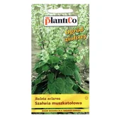 Nasiona i cebule - SZAŁWIA MUSZKATOŁOWA nasiona ziół i przypraw 0,5g - miniaturka - grafika 1