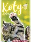 Kalendarze - Kalendarz 2026 wieloplanszowy B4 Koty - miniaturka - grafika 1
