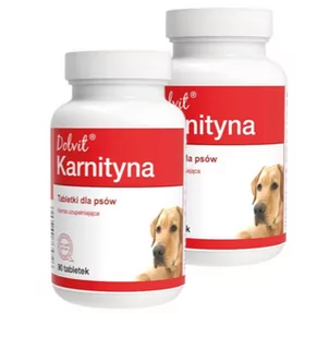 Dolvit Karnityna 2x90 tabletek - Suplementy i witaminy dla psów - miniaturka - grafika 1