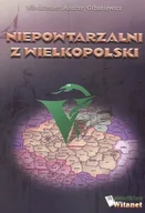 Historia świata - Gibaszewski Andrzej Włodzimierz Niepowtarzalni z wielkopolski - miniaturka - grafika 1