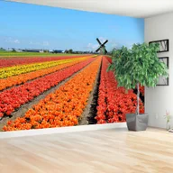 Fototapety - Fototapeta Wiatrak Tulipany - miniaturka - grafika 1