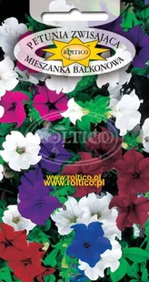 PETUNIA ZWISAJĄCA BALKONOWA 0,1g - Nasiona i cebule - miniaturka - grafika 1