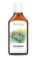 Suplementy naturalne - YaoMedica - Sześć szlachciców, nalewka z chińskich ziół, 50 ml - miniaturka - grafika 1