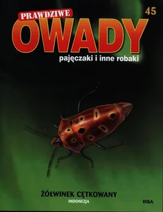 Prawdziwe Owady Pajęczaki i Inne Robaki Reedycja - Czasopisma - miniaturka - grafika 1