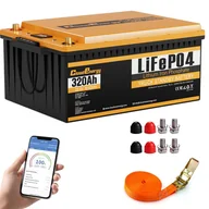 Baterie do zasilaczy awaryjnych UPS - Akumulator LiFePO4 Cloudenergy 25,6V 320Ah, energia 8192Wh, ponad 6000 cykli, wbudowany BMS 200A - miniaturka - grafika 1