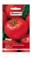 Nasiona i cebule - Pomidor gruntowy Bohun 10 g Plantico - miniaturka - grafika 1