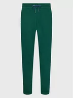 Spodnie sportowe męskie - Scotch & Soda Spodnie dresowe 167317 Zielony Regular Fit - miniaturka - grafika 1
