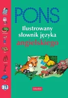 Książki do nauki języka angielskiego - Ilustrowany słownik języka angielskiego - miniaturka - grafika 1