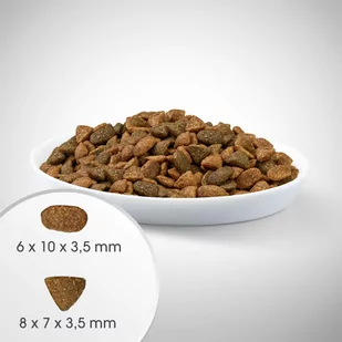 Perfect Fit™ - sucha karma pełnoporcjowa dla kociąt poniżej 1 roku, bogata w kurczaka 7kg - Sucha karma dla kotów - miniaturka - grafika 4