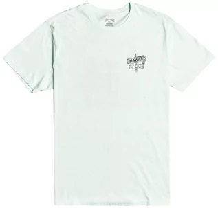 Koszulki dla chłopców - Billabong DREAMY PLACES SEAGLASS koszulka męska - XL - grafika 1